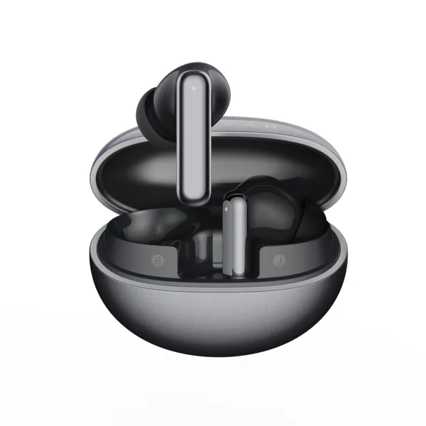 Haylou Flowbuds N55 ANC Earbuds – Black